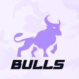 Telegram profile photo for BullsFinance Expert Advisor