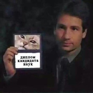 Telegram profile photo for кандидат кринжовых наук