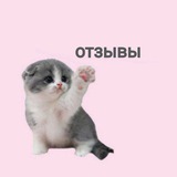 Telegram profile photo for отзывы n_l 🐾