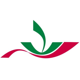 Telegram profile photo for Инфекционная больница Челны
