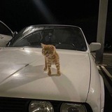 Telegram profile photo for Прайс лист