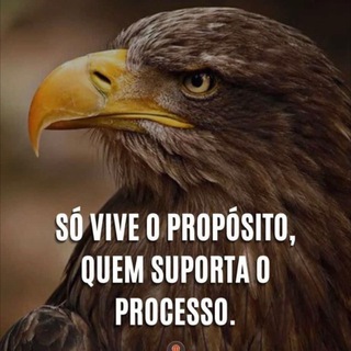 Telegram profile photo for 🇧🇷GFXUSA🇺🇸