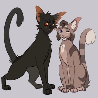 Telegram profile photo for 🪶☀️~Ꮤɑʀʀɪ૦ʀ ℭɑ੮ઽ~☀️🐾 Закрыто навсегда.