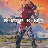 Telegram profile photo for BORZ_PUBGM☠️