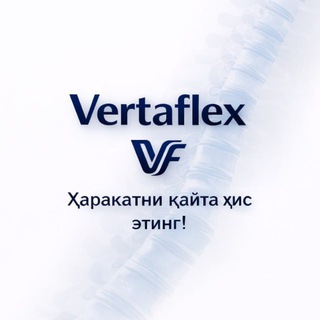 Telegram group profile photo for Vertaflex Мухокама