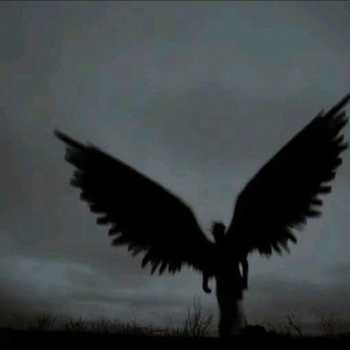 Telegram profile photo for angelin(a)tears diary