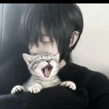 Telegram profile photo for 宁的小窝