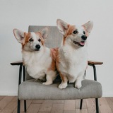 Telegram profile photo for SherryMoon&Uma