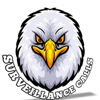 Telegram profile photo for Surveillance Calls