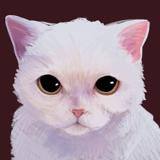 Telegram profile photo for kate it