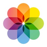 Telegram profile photo for 💎 全新图册作图《2345作图》5678旺财P图 tuce
