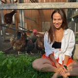 Telegram profile photo for Chicken 🐓 CEO