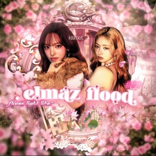 Telegram profile photo for архив elmaz flood
