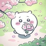 Telegram profile photo for ππ_ππππππππππͺπ