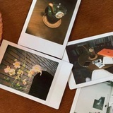 Telegram profile photo for MOODBOARD IDEAS FREE