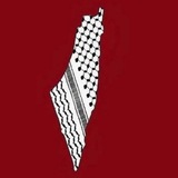 Telegram profile photo for { ᴍᴢᴢʜɪʀ ɢɪᴜᴅᴇ }