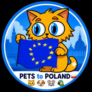 Telegram group profile photo for PETS to Poland π΅π± π±πΆππ¦