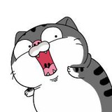 Telegram profile photo for CAT OF MEME CHANNEL