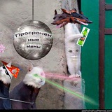 Telegram profile photo for просроченные мемы