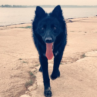 Telegram profile photo for Daily Боря