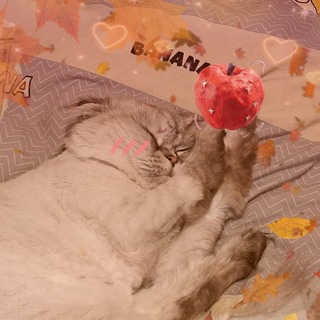 Telegram profile photo for Логово злодейки Бензи