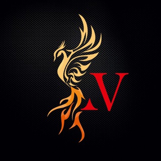Telegram profile photo for DJ V&N