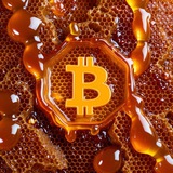 Telegram profile photo for Перехідник|Ноу мані, ноу хані