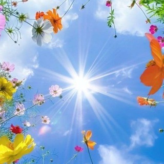 Telegram profile photo for Verso il Sole