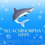 Telegram profile photo for 𝗦𝗘𝗖𝗣𝗛𝗔 𝐌𝐏𝐏𝐒