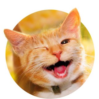 Telegram profile photo for Юмор на каждый день