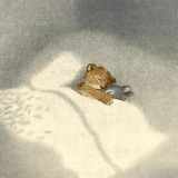 Telegram profile photo for чемпион пепла
