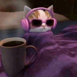 Telegram profile photo for kitten pantry 🐾