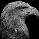 Telegram profile photo for Indicator1400