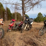 Telegram profile photo for MOTO CHANNEL