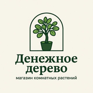 Telegram profile photo for Комнатные растения|Симферополь