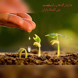 Telegram profile photo for 🌾🌴 داروخانه گیاه پزشکی باران🌴🌾