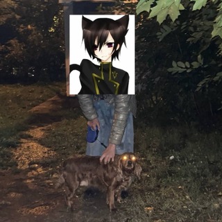 Telegram profile photo for japonlamvor