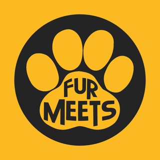Telegram profile photo for Furmeets Latinoamérica