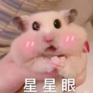 Telegram profile photo for 鼠鼠特工队