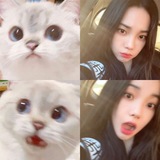 Telegram profile photo for karomi ♥️