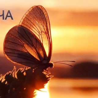 Telegram profile photo for Мой канал: Слова от Сердца.❤️