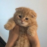 Telegram profile photo for переезд, возвращение в мью км || библиотека рэй 🧺