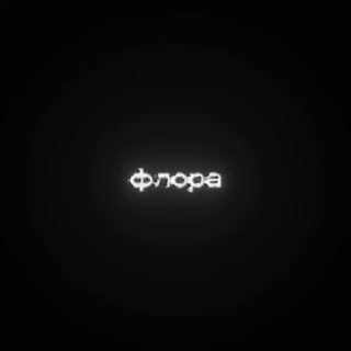 Telegram profile photo for Adapter
