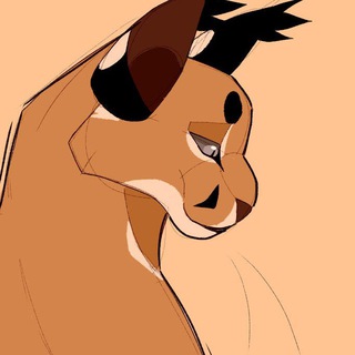 Telegram profile photo for Floppa gems | ERC20 PLAYS