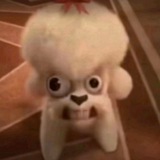 Telegram profile photo for ПЕРЕЕЗД ШАНИ ЙО