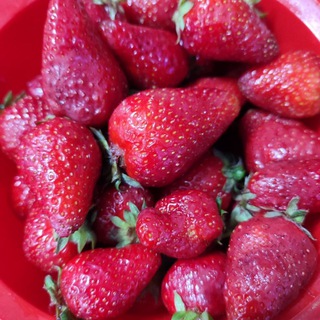 Telegram profile photo for Вкусные стихи для всех.....Алибабаевич.....