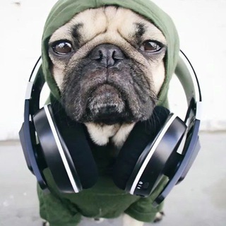 Telegram profile photo for 🍀Личный bLog 69-go🍀