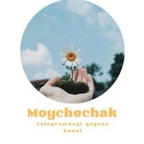 Telegram profile photo for ᥫᩣ ℳℴ𝓎𝒸𝒽ℯ𝒸𝒽𝒶𝓀 ᥫᩣ