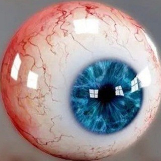 Telegram profile photo for 𝖆𝖐𝖎𝖗𝖆 𝖓𝖔 𝖕𝖆𝖗𝖚 𝖜𝖊𝖎