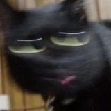 Telegram profile photo for ладно